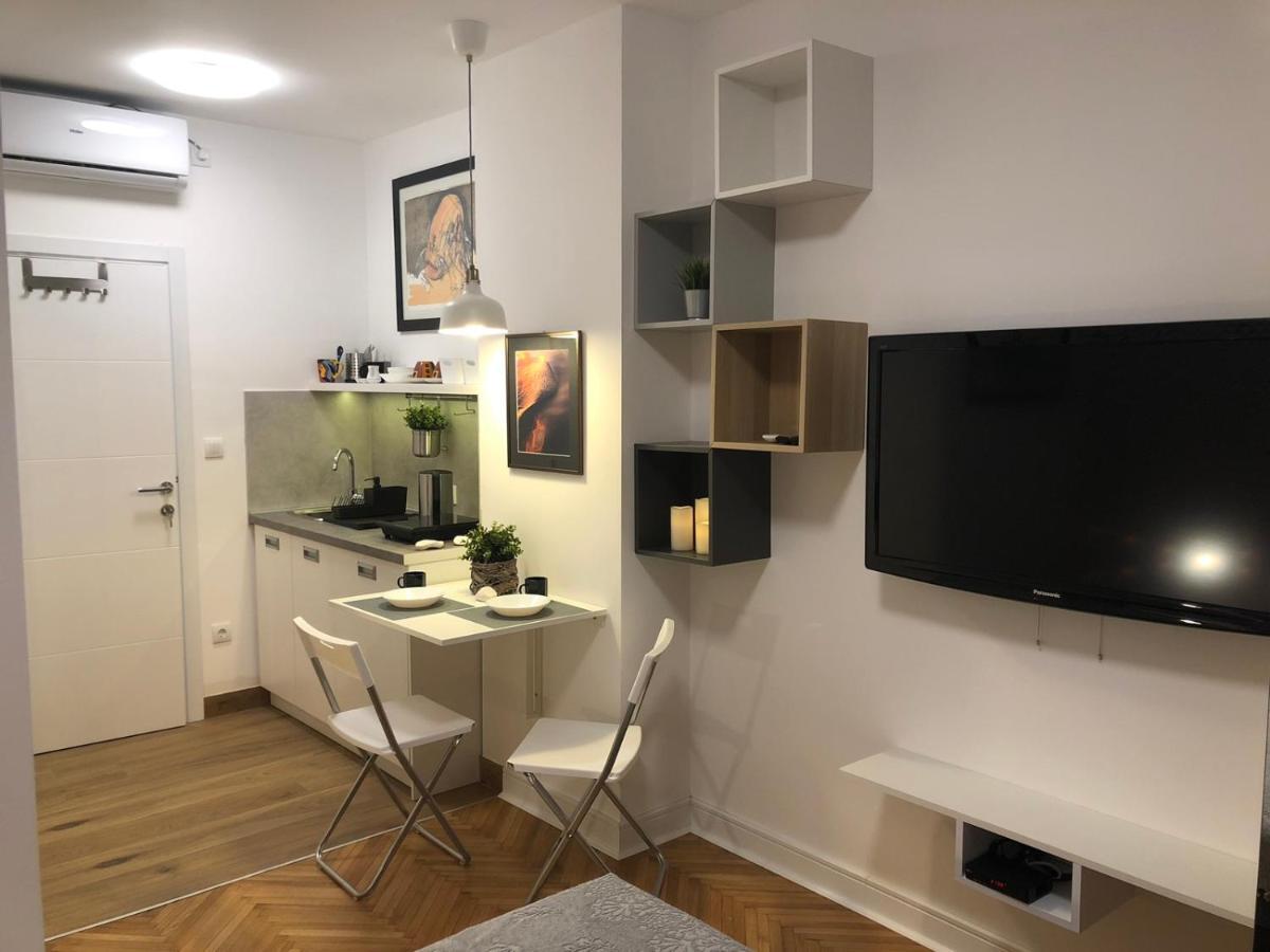 Vracar Apartment Belgrad Exterior foto